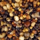 Seed Mix Small 2.5ltr