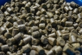 Marine Green Feed Pellets 2mm