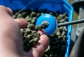 Marine Green Feed Pellets 2mm