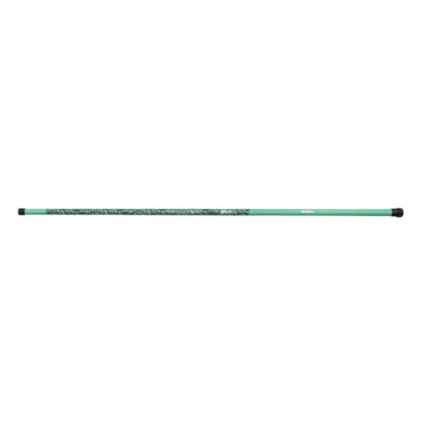 Catch Pro II Pole T-300